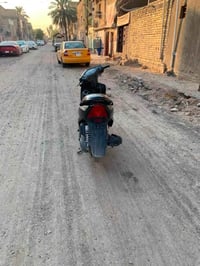 ثعلب • جيني ار • مكفولة