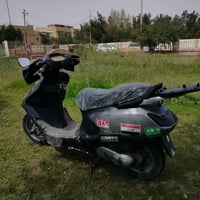 كفاله • عقل مبرمج • زنون ثلجي