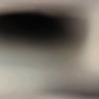 سفان • ٢٠٢٥