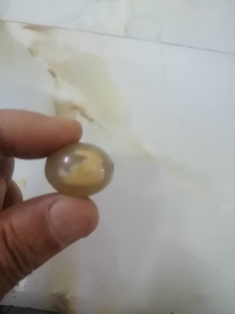 محابس نسائية... ٣ وقلادة... للبيع


**إذا كنت صاحب هذا الإعلان وتريد حذفه لأي سبب، رجاءا أرسل رسالة إلى الدعم الفني**