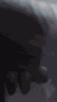 ستوته • محرك ٢٥ • كربراتير جديد