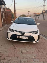 كورلا خليجي • ٢٠٢٤ • حك شبر