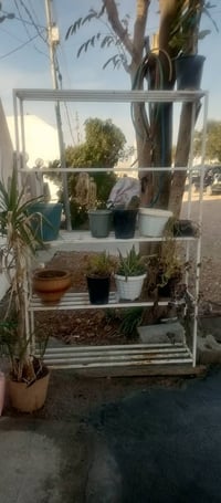 ئەم میزی گوڵەبۆفرۆشتن شتکی؟جوانوتۆکمە 5قاتە شیۆن سمود؟سەعری 60هه زار07...