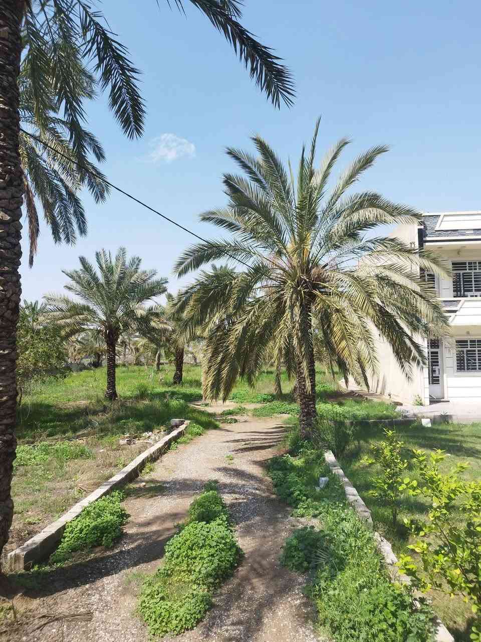 سلام عليكم يوجد دونمين ونص طابو ملك صرف المكان المدائن جسرديالى التويثة 
الاستفسار الاتصال ***********
