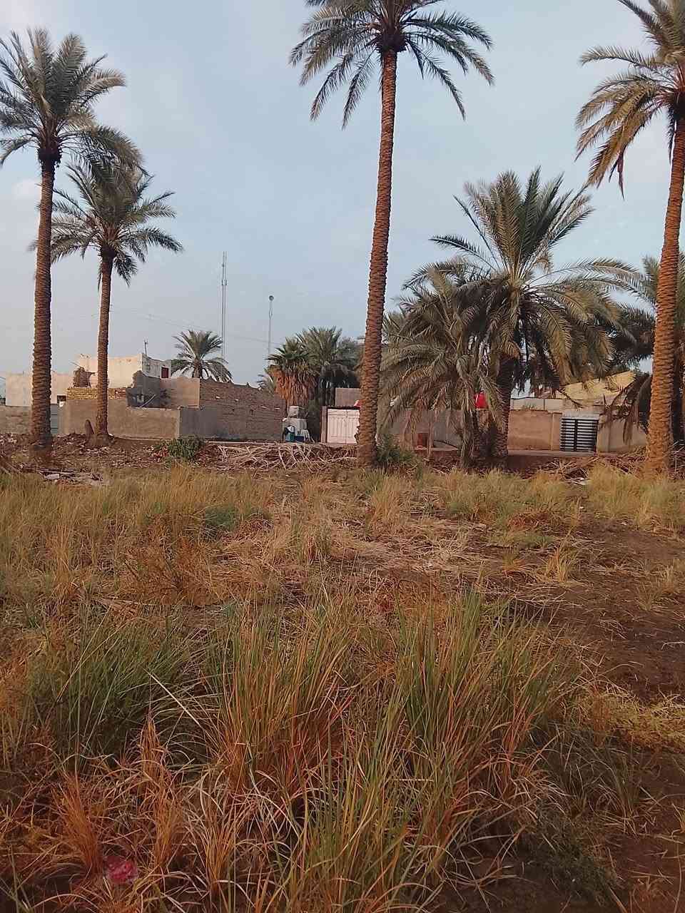 دونمين ونص مع نخيل سند 25 للبيع  كافت الخدمات تبليط مي كهرباء


**إذا كنت صاحب هذا الإعلان وتريد حذفه لأي سبب، رجاءا أرسل رسالة إلى الدعم الفني**