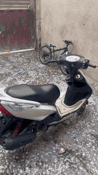 دراجة ثعلب • نضيفه • الشعب