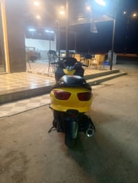 فورزة • ٢٥٠ • بدون اوراق