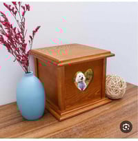 ديكور منزلي • توصيل