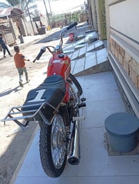 ميسان أبو رمانه • بدون أوراق • تيربو