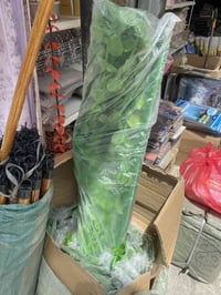 برده خضار • درزن