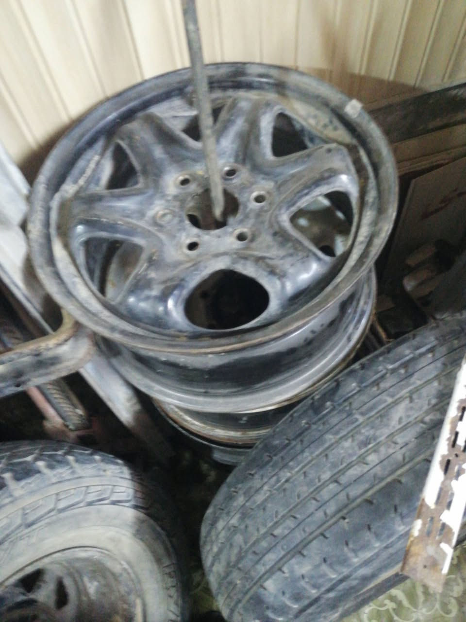 تخم ويل ١٧ اخو الجديد اصلي سعر ١٥٠ مكاني العماره ***********
