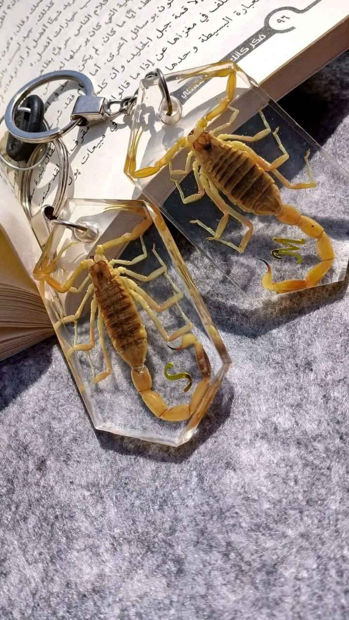 متاح ميدالياات العقارب المحنطة جملة بسعر كويس هاند ميد ١٠٠%


**إذا كنت صاحب هذا الإعلان وتريد حذفه لأي سبب، رجاءا أرسل رسالة إلى الدعم الفني**