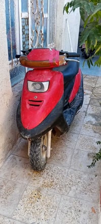 دولفين • ياباني • ماكنيت