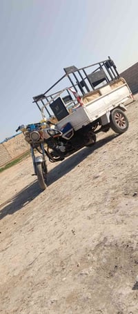 ستوته للبيع 2014 شاصي رقبه شرب السعر السعر 750 وبها مجال حق الجيه مكان...