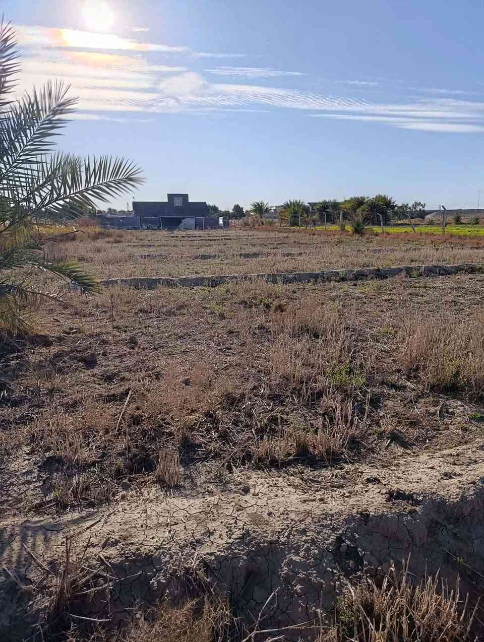 سلام عليكم ٣ دوانم للبيع اشكد تريد دونم او نص دونم او كلهن مخدومات نهر سقي ماء حلو من الفنديه
المكان الفندية قرب جسر تبعد عن شارع ٤٠٠ متر اللاستفسار 
***********  
*********** سند ٢٥ تشتري من المالك
