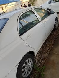 مصبوغة • تبخير بالمكينة • موديل ٢٠١٢