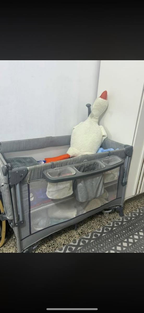 سرير استعمال قليل من حديث ولاده لحد ٥سنين ينفتح ع جربايه الأم و


**إذا كنت صاحب هذا الإعلان وتريد حذفه لأي سبب، رجاءا أرسل رسالة إلى الدعم الفني**