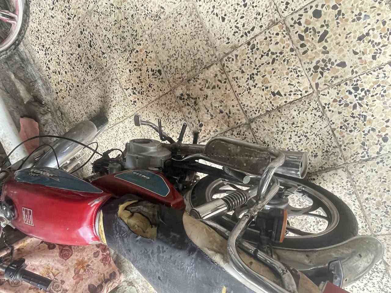 جوندا للبيع السعر 150 وبي مجال


**إذا كنت صاحب هذا الإعلان وتريد حذفه لأي سبب، رجاءا أرسل رسالة إلى الدعم الفني**