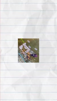 باب زيد • أراضي • ٢٥٠م