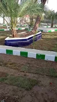 منتجع • الزيناوية • ٢٥٠٠م