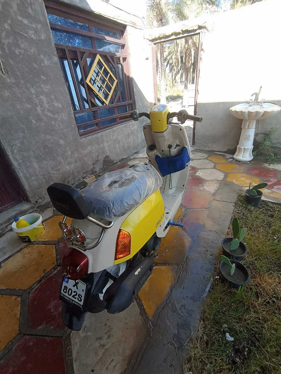 سلام عليكم دراجه ماكس بوليس كفاله كفرات ليموني اصلي بنفسجي تجاري تاخذ لي تريده درجه جديده وسعرها خاص أو نتصال علئ رقم***********
