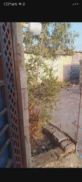 السلام عليكم
دار سكن تجاوز للبيع في القبله حي الشهداء قرب السوق الجديد الجملونات 
مساحه البيت 150
40متر عن الشارع 
البيت يحتوي على غرفه وهول وديوانيه ومطبخ وحمام داخلي وحمام خارجي وطارمه واسعه 
سقف البيت سندويچ +سقف ثانوي بالكامل 
سيراميك ارضي وجداري للغرفه والديوان 
كهرباء تأسيس جديد 3فيز 
تأسيس ماء كامل للحمامات والمطبخ مع خزان 1 طن +بوستر تسريع ماء 
ما عليه تبليغ ولا ازاله أسأل المنطقه قبل لا تشتري 
السعر 6ملايين و500الف وقابل للتفاوض 
للاستفسار الاتصال ***********
