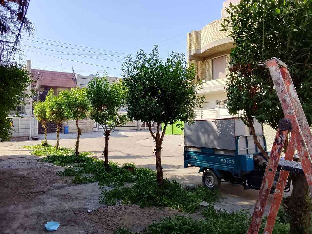 قطع الأشجار وتقليم الحدائق بكاني بغداد حيور ***********
