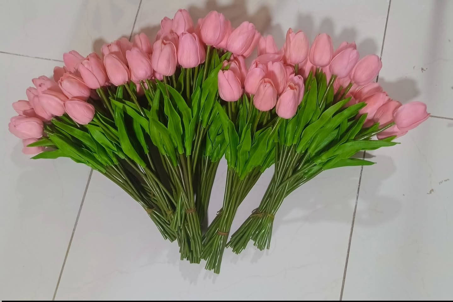 السلام عليكم متابعينا الكرام 
رمضان كريم وصيام مقبول أنشاء الله وكل عام وانتم بخير 
رجع توفر ورد التوليب بالوان جذابه وجميله جدا 
توفر بأسعار تنافسيه  جمله ومفرد 
للحجز والاستفسار ماراسلتنا خاص او واتساب ***********
