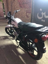 بوكسر • موديل ٢٢ • بدون اوراق
