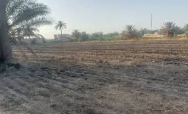 السلام عليكم
دونم للبيع ٢٥٠٠ متر   الواجهة ٥٥ متر سند مستقل طابو زراعي سند 25 تحويل ثاني يوم ع طابو المحموديه 

عنوان الدونم بغداد اليوسفيه بئر الحمام السعر ٧٥ مليون

علما المنطقه كلش هدوء ومخدومه بالماء والكهرباء والتبليط للاستفسار راسلني خاص واجاوبك


**إذا كنت صاحب هذا الإعلان وتريد حذفه لأي سبب، رجاءا أرسل رسالة إلى الدعم الفني**