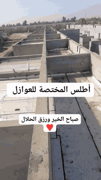 ***********
***********
