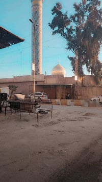 مرقد السيدة زينب • بصرة دمشق يومي • وردة الياسمين