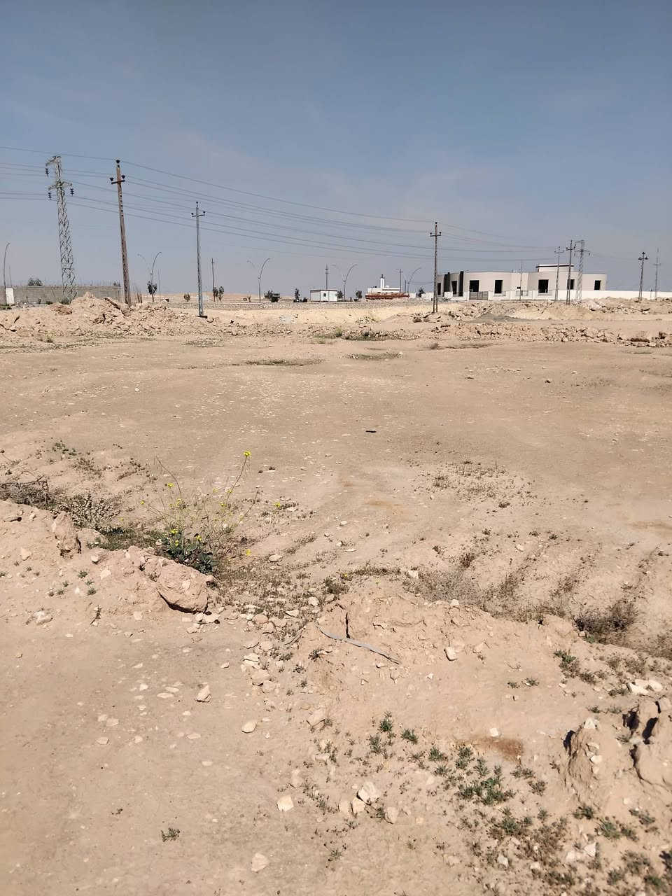 سلام رحمة الله وبركاته اخوان قطعة ارض للبيع اخلف معمل الابان الارض بيضاء مساحة الارض الف متر سعر المطلوب 8 ملاين وبيه مجال الطيبين الستفسار اكثر اتصل على رقم 📱 *********** ملاحضة ترهم مروس بكيه حمل
