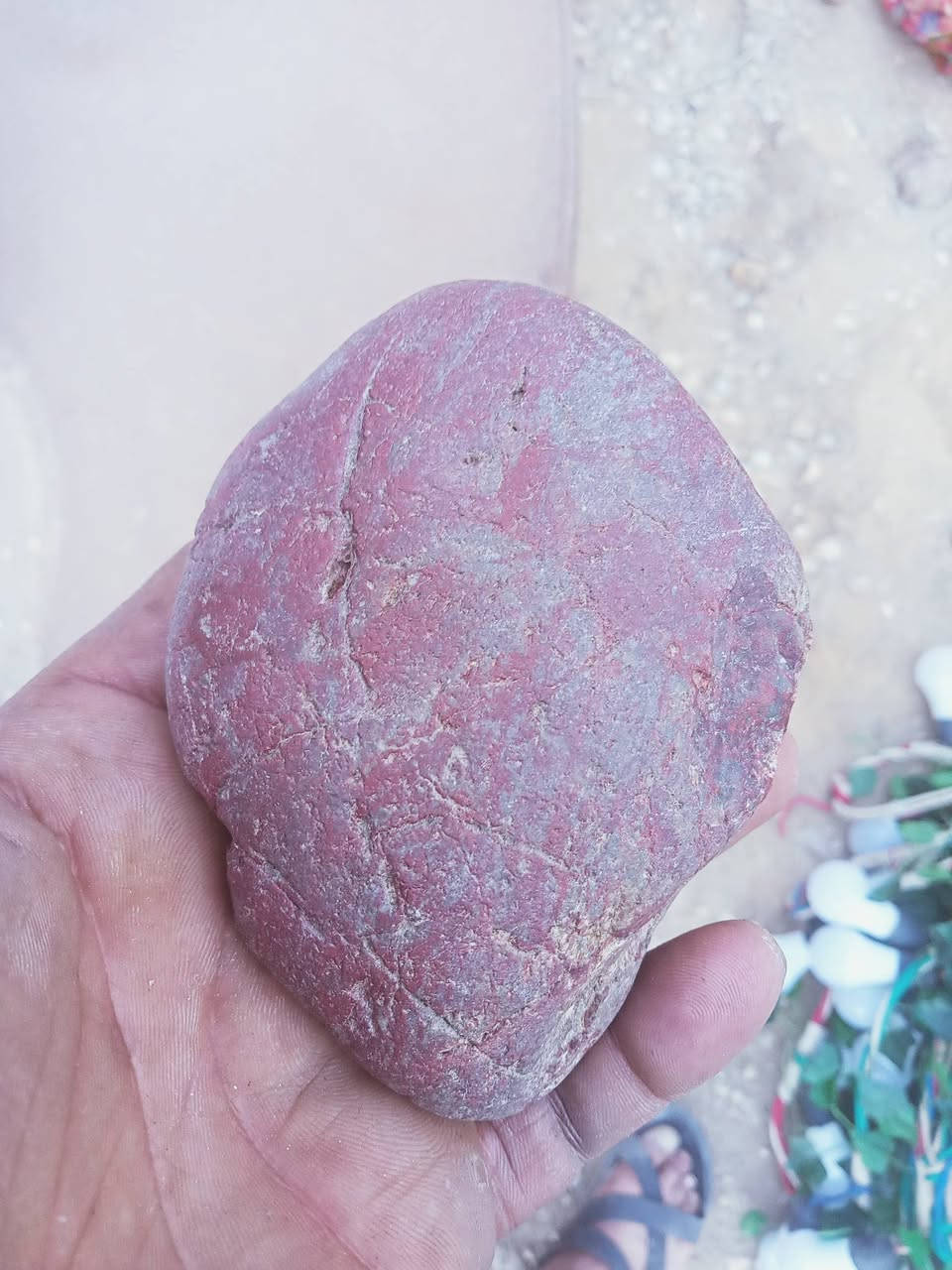 على الله


**إذا كنت صاحب هذا الإعلان وتريد حذفه لأي سبب، رجاءا أرسل رسالة إلى الدعم الفني**