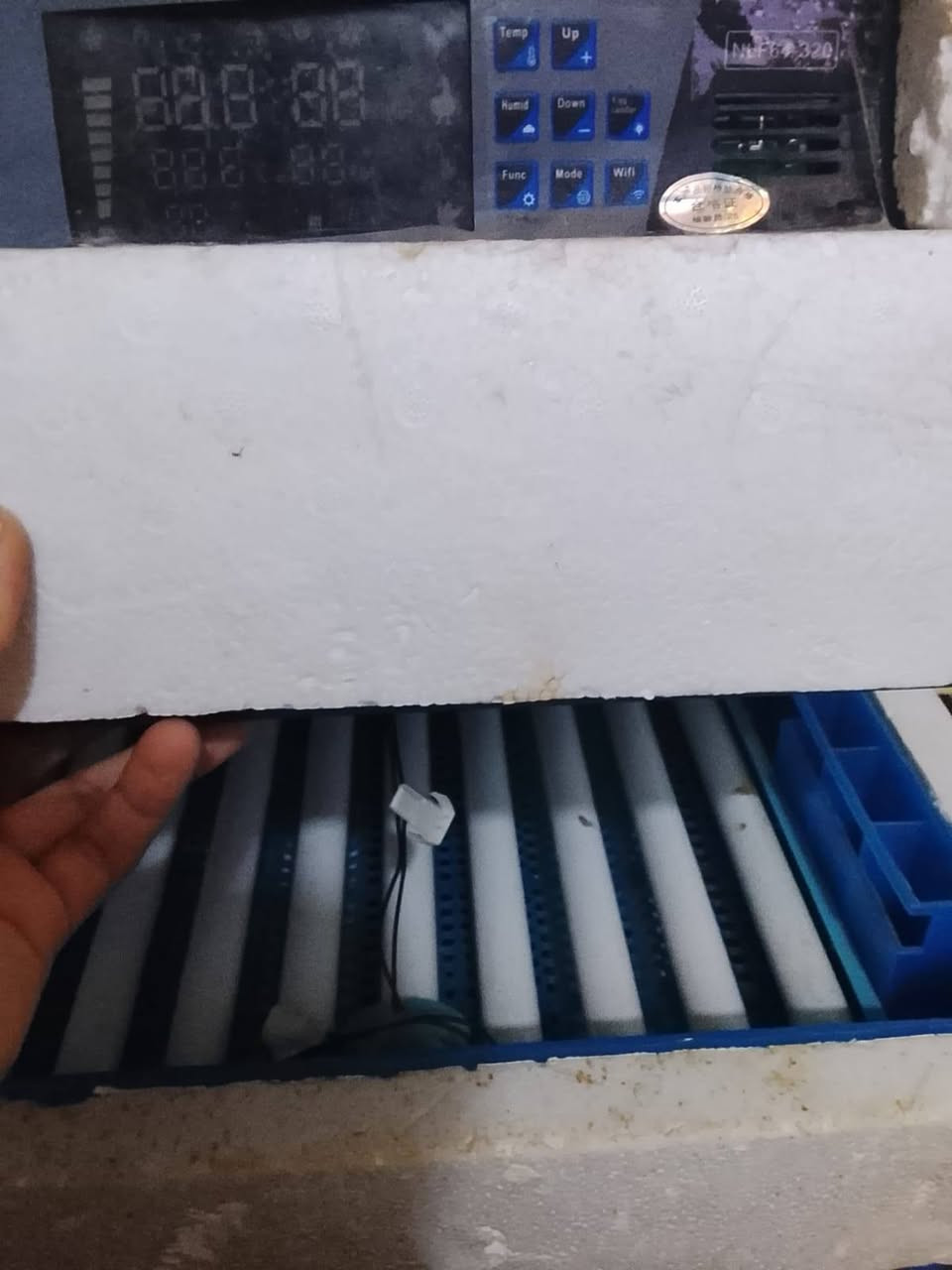 فقاسه البيع بيه بس البنكه مال الفان وكفه


**إذا كنت صاحب هذا الإعلان وتريد حذفه لأي سبب، رجاءا أرسل رسالة إلى الدعم الفني**