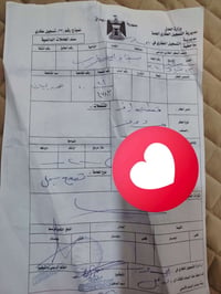 عندي قطعه هور الباشه لبيع مساحه ٢٠٠ 07821753647