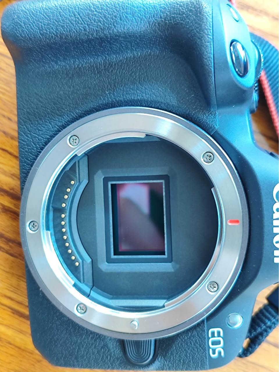 📸 للبيع كاميرا Canon EOS R50 – حالة شبه جديدة ✨

كاميرا احترافية وخفيفة، مناسبة للتصوير الفوتوغرافي وصناعة المحتوى والفيديو، وتتميز بجودة عالية وتركيز سريع ودقيق.

🔹 دقة 24.2 ميغابكسل
🔹 تصوير فيديو 4K بجودة ممتازة
🔹 نظام تركيز تلقائي سريع مع تتبع للوجه والعين
🔹 شاشة لمس متحركة ومناسبة للتصوير والفلوغات
🔹 خفيفة وعملية وسهلة الاستخدام
🔹 الحالة: شبه جديدة ونظيفة جدًا
🔹 الاستخدام قليل والمحافظة عليها ممتازة
🔹 خالية من الأعطال أو المشاكل وجاهزة للفحص والتجربة

📦 الملحقات كاملة:
[العدسة – البطارية – الشاحن – العلبة – الحزام – الذاكرة]

💰 السعر: 750,000 د.ع
📍 العنوان: الديوانية قرب المعهد
📞 للتواصل: ***********

كاميرا ممتازة لمن يريد دخول عالم التصوير الاحترافي أو صناعة المحتوى بكاميرا حديثة وقوية، وحالتها قريبة جدًا من الجديدة.
البيع بسبب عدم الاستخدام / التفرغ، والسعر قابل للتفاوض بالمعقول. ديوانية, القادسية
