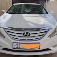 سوناتا • ٢٠١١ • قطعتين صبغ