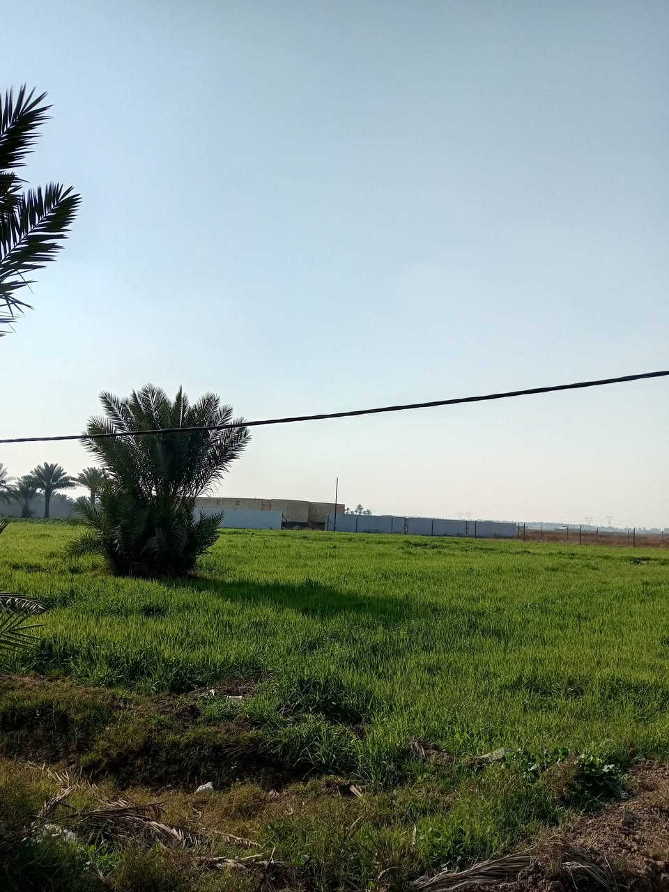 هذا دونمين طابو زراعي سند 25 وجه 64 على شارع ابو غريب منطقه 10 مناصير كامل الخدمات ماء كهرباء شارع تبليط مجاور مزارع وشاليهات 

***********
