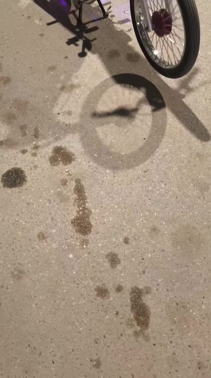 مكلف بلنشر:
سلام عليكم دراجه ايراني مكينه شلامجه تعمير كله جديد وكله اصلي كلك كلك كلك سوق الشيوخ ولشراي يشلع عيوني


**إذا كنت صاحب هذا الإعلان وتريد حذفه لأي سبب، رجاءا أرسل رسالة إلى الدعم الفني**