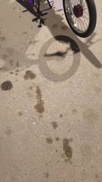 ايراني • تعمير جديد • اصلي