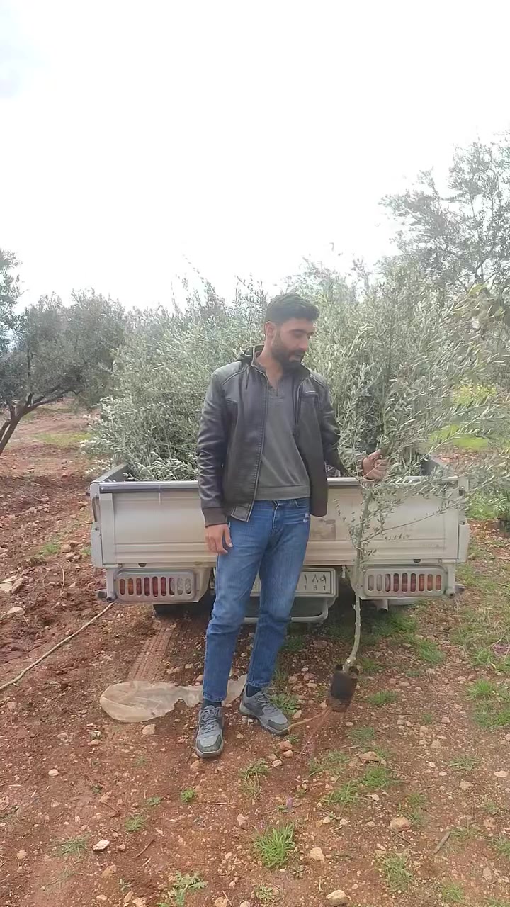 #دمااار #الاسعااار من مشتل ابو يوسيف حجيلار  خلخالي زياتي العمر سنتين 
الله يباركلو 
العنوان عفرين جنديرس كفر صفرى 
للتواصل00905527788648


**إذا كنت صاحب هذا الإعلان وتريد حذفه لأي سبب، رجاءا أرسل رسالة إلى الدعم الفني**