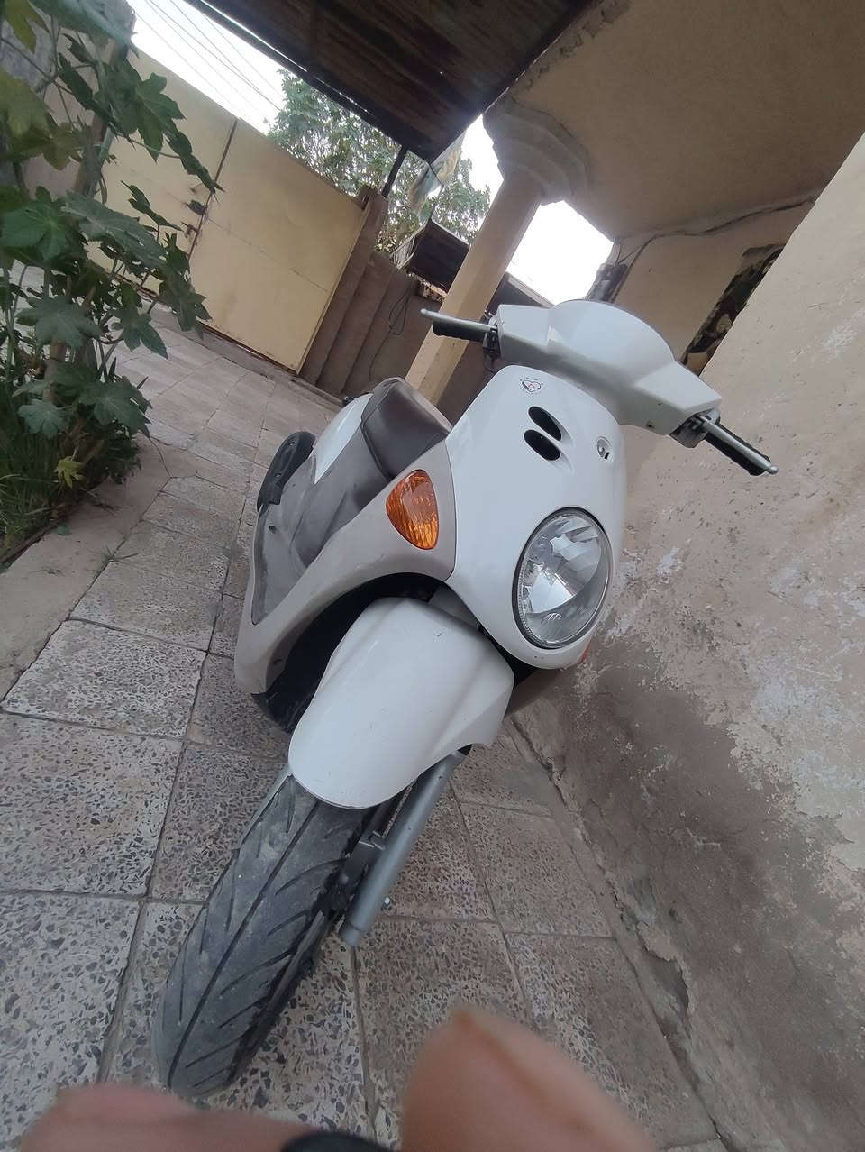 دراجه فله شرط ربه جديده كارتون.  للبيع مستعجل. سعرها ب ٨٠٠ وبيها مجال. مكان بابل شارع ٨٠.  رقم ***********
