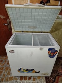 مجمدة • العزه القديمة • للبيع