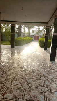 قضاء الخالص ابو تمر • دار ١ دونم • بستان ٥ دوانم