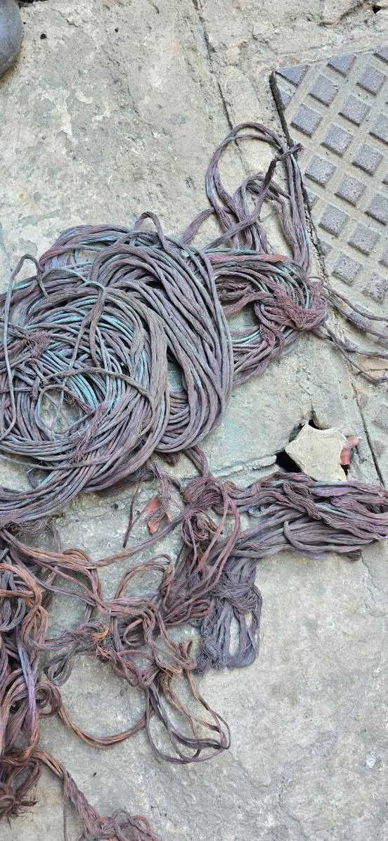 ابيع أعلى سعر بغداد راسلني ان كنت مهتم ٦٦ كيلو قابل للزيادة


**إذا كنت صاحب هذا الإعلان وتريد حذفه لأي سبب، رجاءا أرسل رسالة إلى الدعم الفني**