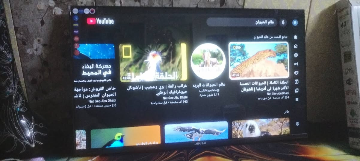 السلام عليكم بلازما حجم 43 LGدبي نت فوال مواصفات تدعم جميع البرامج القنوات الستلايت بدون صحن على نت وقنوات بين سبورت المشفره.مستخدمه قليل جداا بعدها بالكارتونه بغداد مدينة الصدر السعره 130.ملاحظه بيها خطوط خفيفه جداا مايبنن بالصورة ابد


**إذا كنت صاحب هذا الإعلان وتريد حذفه لأي سبب، رجاءا أرسل رسالة إلى الدعم الفني**