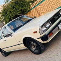 مراوس • مكفولة من الصبغ • بغداد