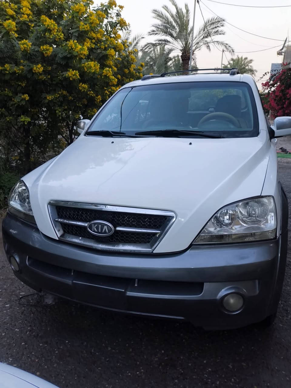 سورينتو 2006 مزاد وزارة الداخليه السياره بيه كتاب ب اسمي مكينه وكير 3000 جدد حداده جديده تخم تاير باتري جديد زوج لايت جديد السياره متعوب عليه مصبوغه عام معمره ايدي السعر 70 وبيه مجال مكان السياره البصرة 
***********
