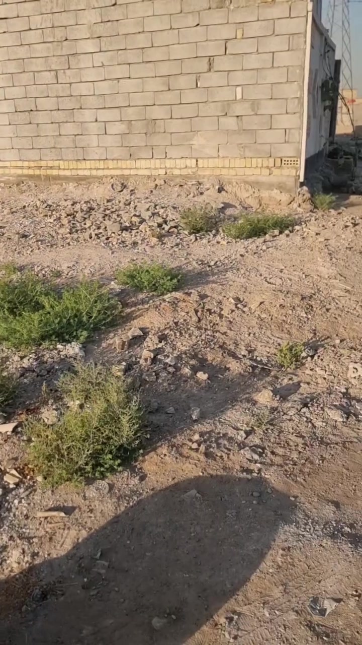 السلام عليكم
عندي قطعة ارض 100مربعة خلف النهر قريبة على السجة متوفر بالمكان ماء وكهرباء معروضة للبيع على الجهة اليسرى *********** اني صاحب القطعه
